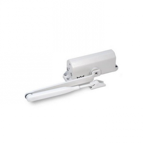 Дверной доводчик Dorma TS-77 EN2 (50кг) (White P100 next RAL 9016)