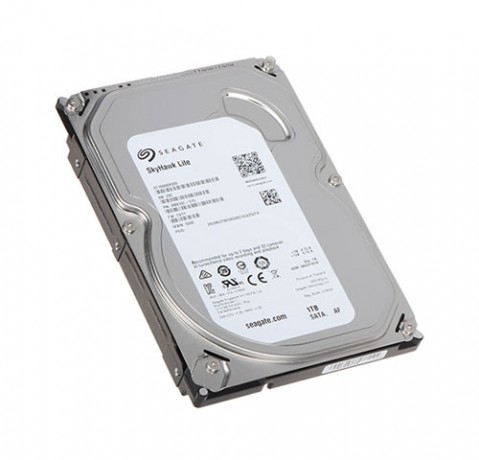 Жесткий диск Seagate Skyhawk Lite 1000 Гб