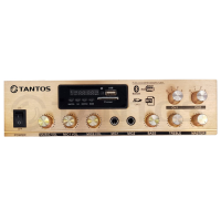 Усилитель Tantos TSo-AA30M